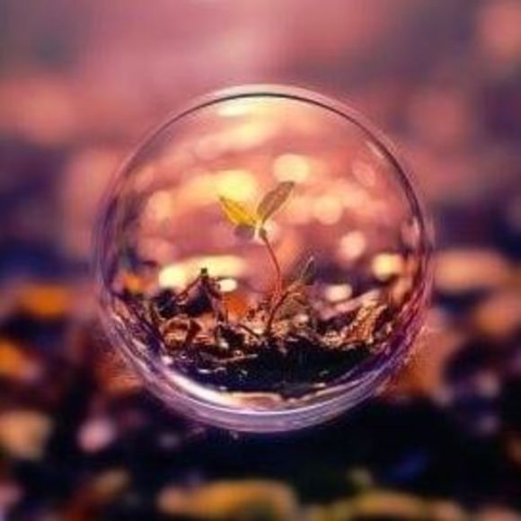 Meet your Posher, Dhang - Picture 1 of 1